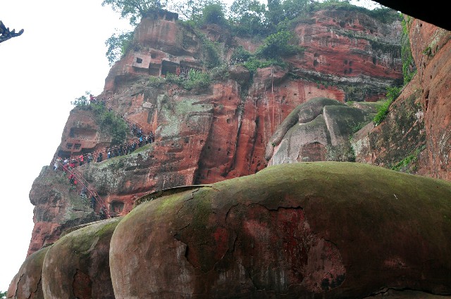 拼多多补单软件