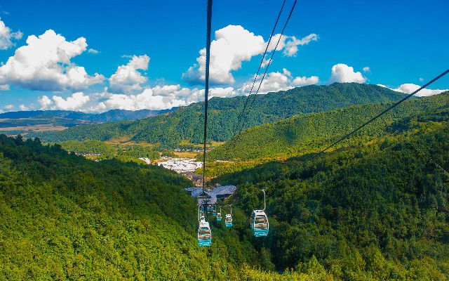 拼多多补单软件