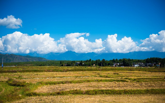 拼多多补单软件