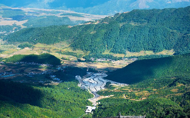 拼多多补单软件