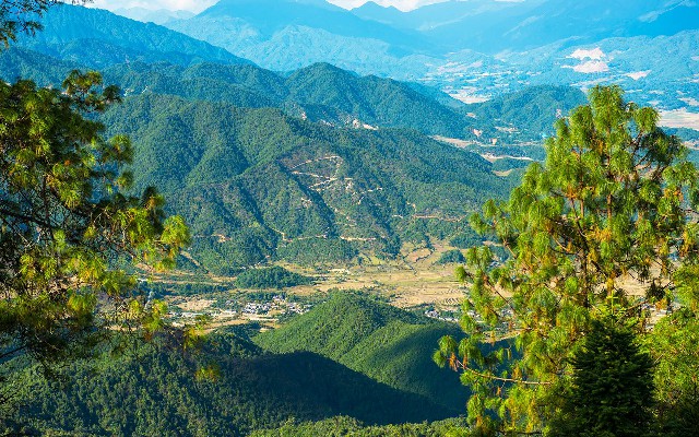 拼多多补单软件