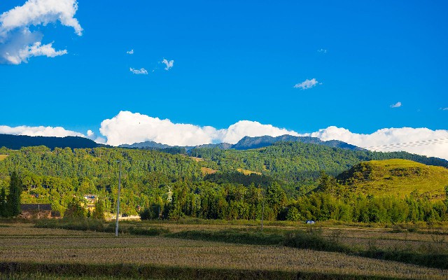 拼多多补单软件