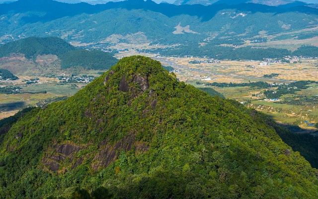 拼多多补单软件