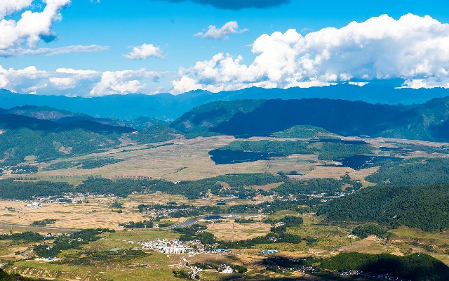 拼多多补单软件