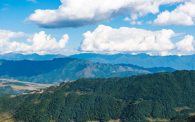 拼多多补单软件