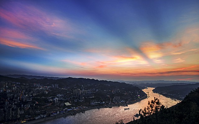 拼多多补单软件