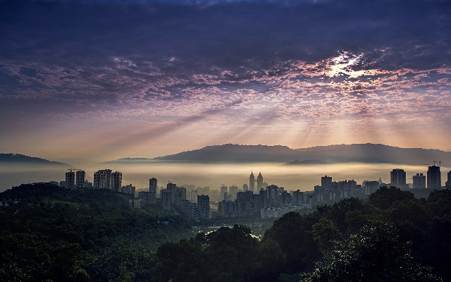 拼多多补单软件