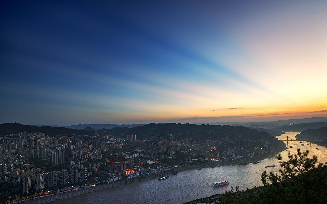 拼多多补单软件