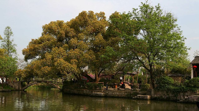 拼多多补单软件