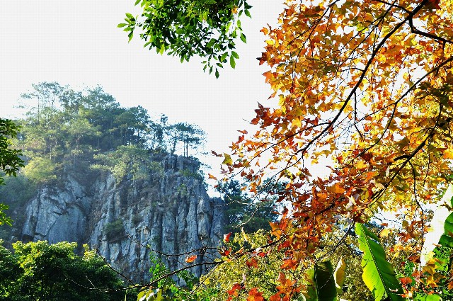 拼多多补单软件