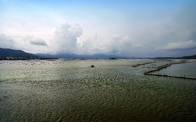 拼多多补单软件