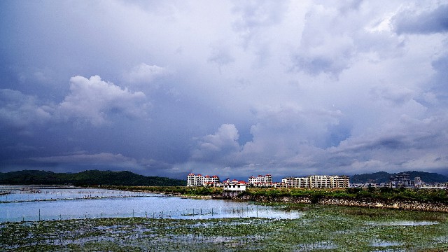 拼多多补单软件