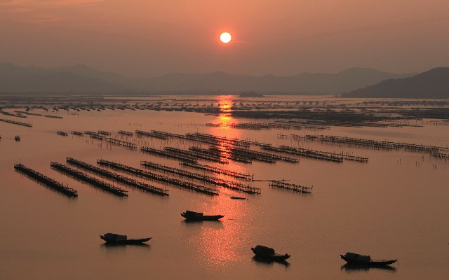 拼多多补单软件