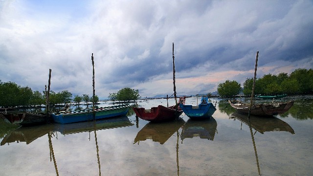 拼多多补单软件