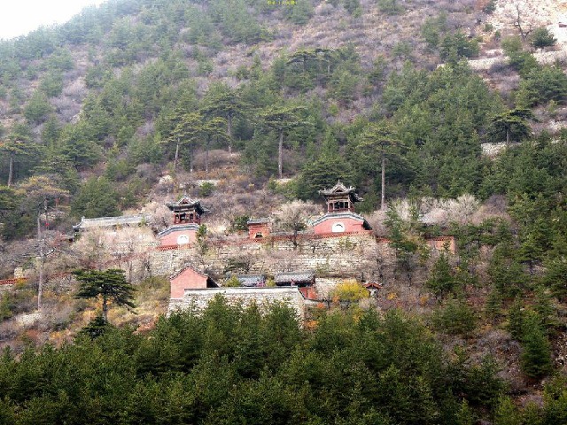 拼多多补单软件