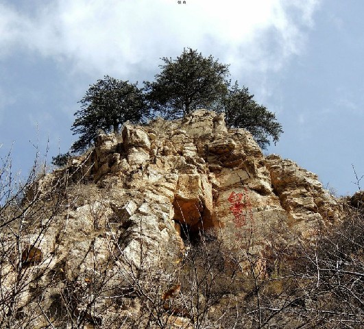 拼多多补单软件