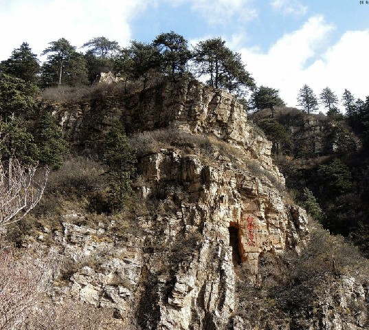 拼多多补单软件