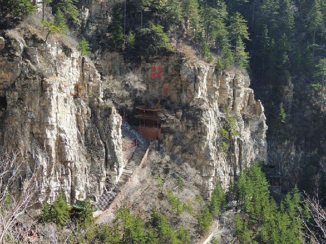 拼多多补单软件