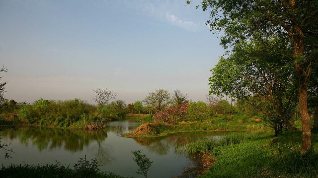 拼多多补单软件