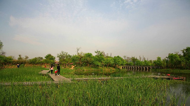 拼多多补单软件