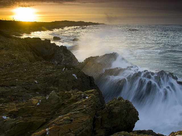 拼多多补单软件