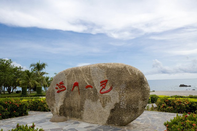 拼多多补单软件