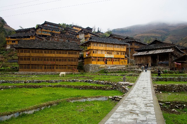 拼多多补单软件