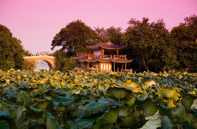 拼多多补单软件