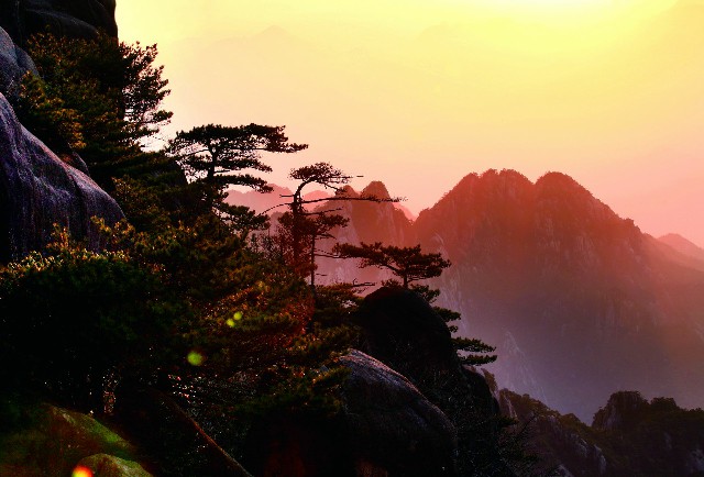 拼多多补单软件