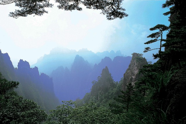 拼多多补单软件