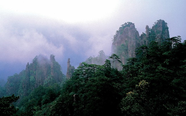 拼多多补单软件