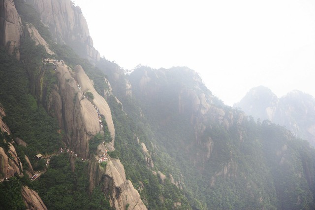 拼多多补单软件