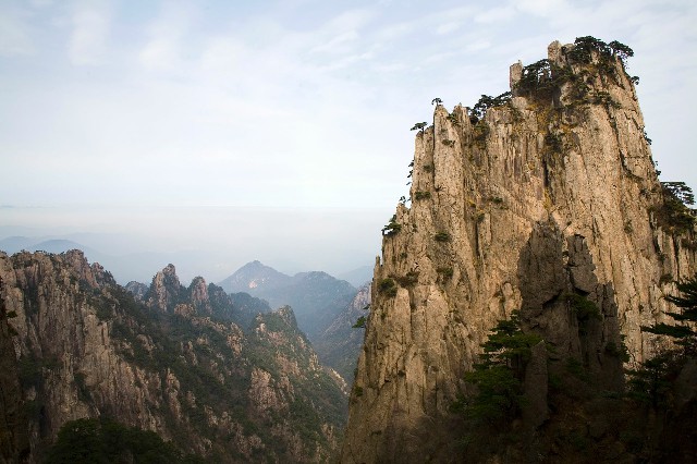 拼多多补单软件