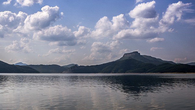 拼多多补单软件