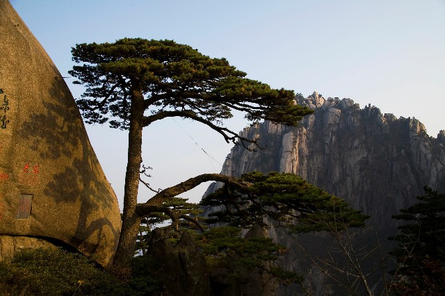 拼多多补单软件