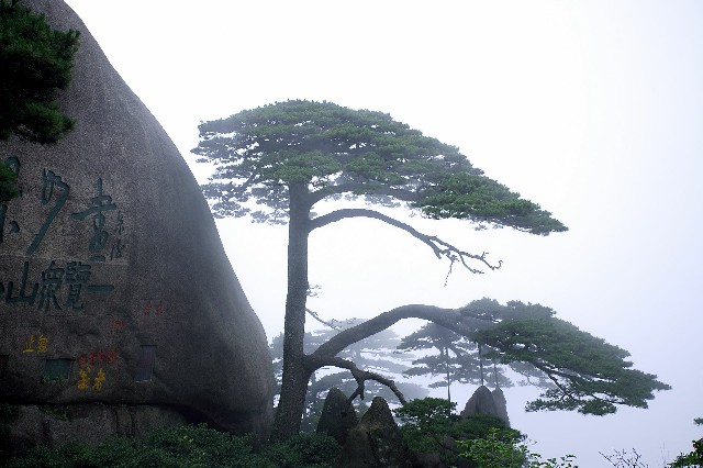 拼多多补单软件