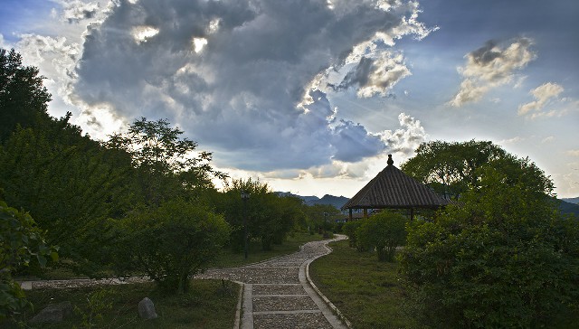 拼多多补单软件