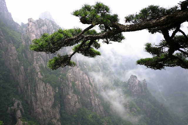 拼多多补单软件