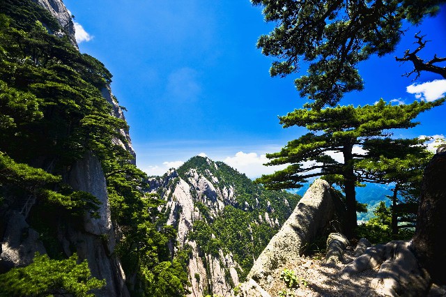 拼多多补单软件