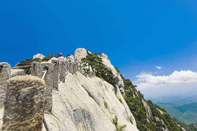 拼多多补单软件