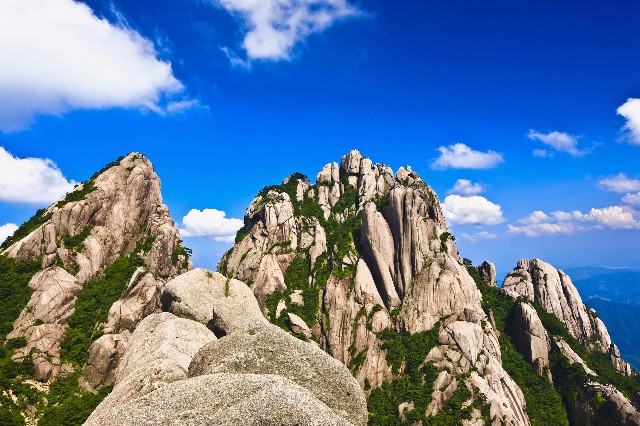 拼多多补单软件