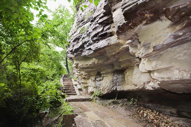 拼多多补单软件