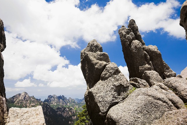 拼多多补单软件