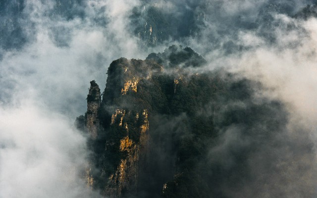 拼多多补单软件