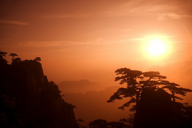 拼多多补单软件