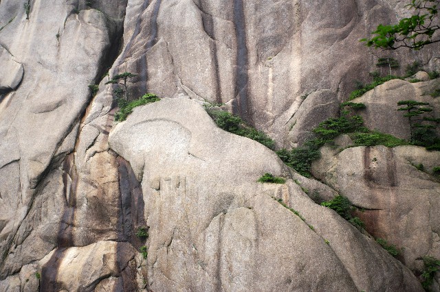 拼多多补单软件