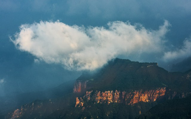 拼多多补单软件