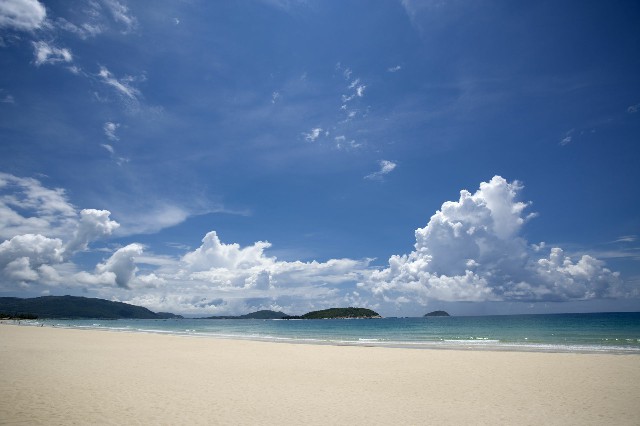 拼多多补单软件