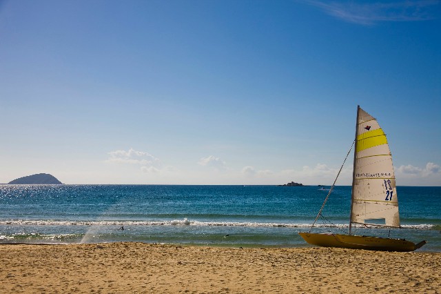 拼多多补单软件