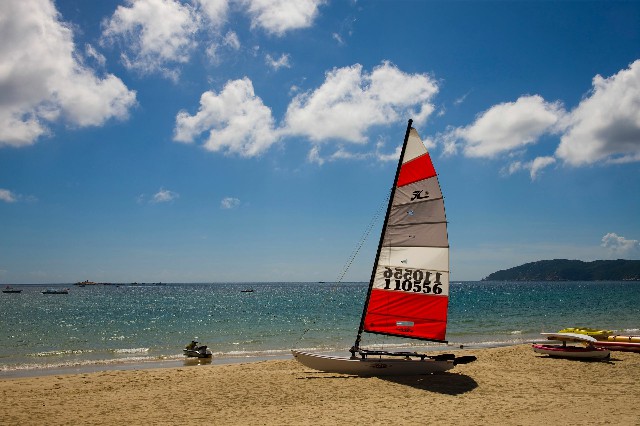 拼多多补单软件